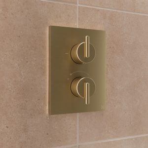 Set 13 Cameo - TL1000LBPSF