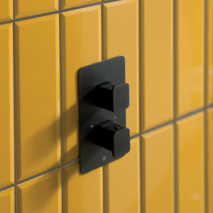 JTP- HIX Thermostatic Concealed 1 Outlet Shower Valve -38651MB- lifestyle